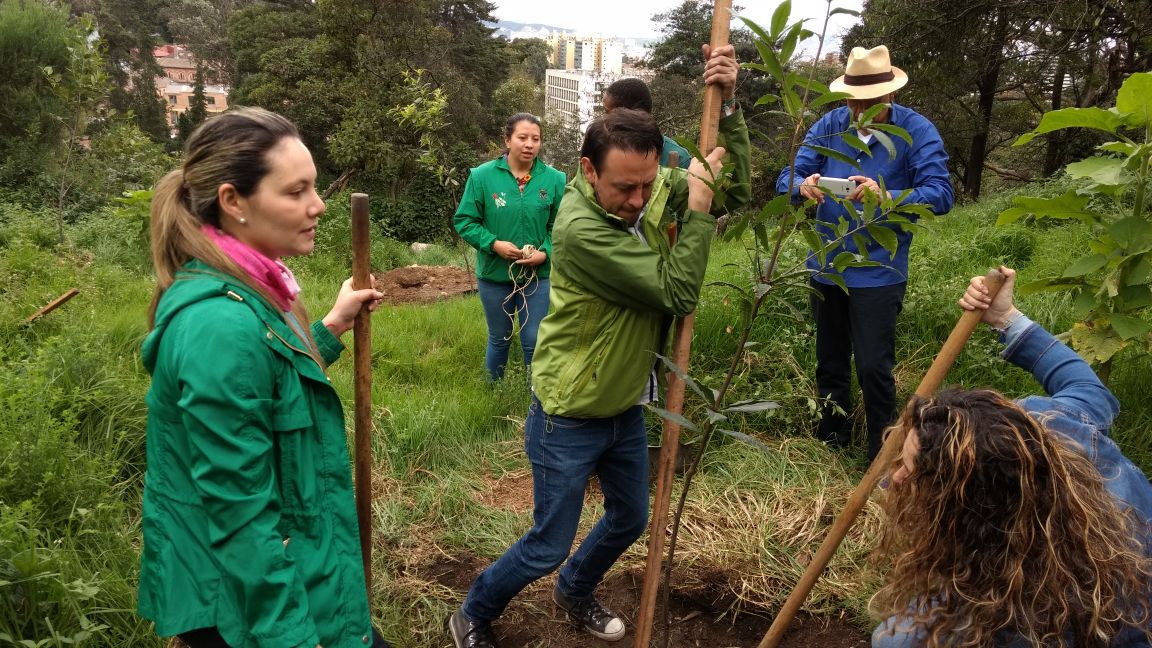 Imagen foto_00000002