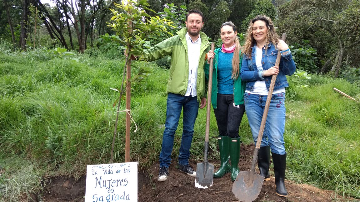 Imagen foto_00000003