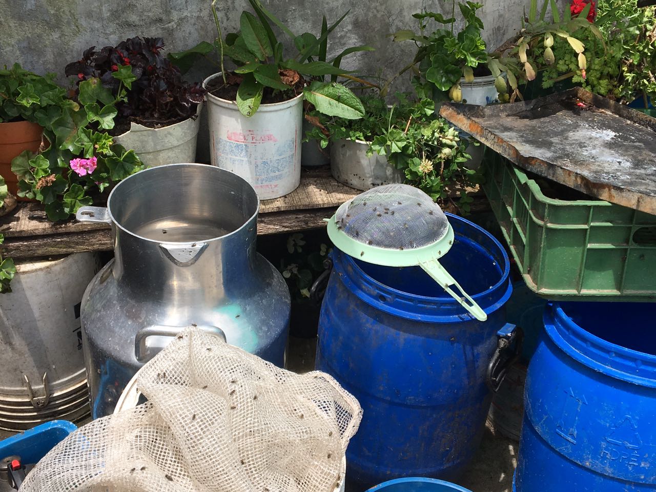 Imagen foto_00000001