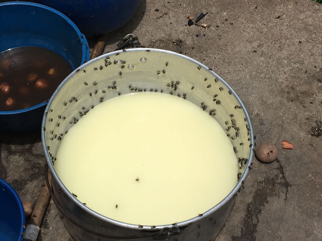 Imagen foto_00000002