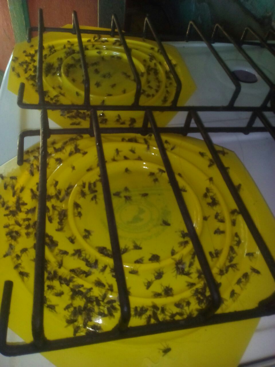 Imagen foto_00000003