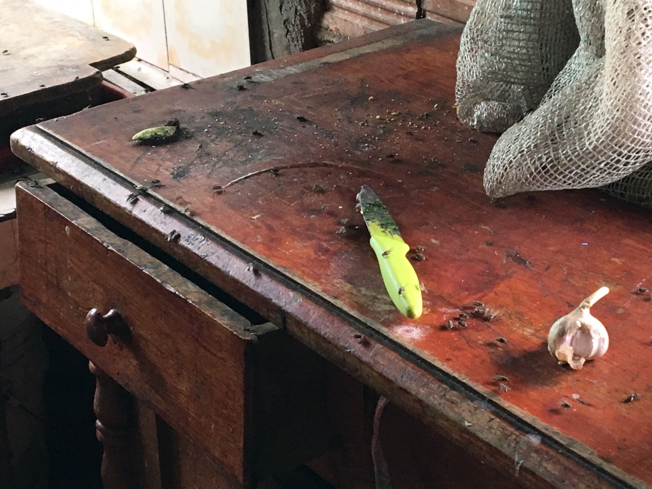 Imagen foto_00000004