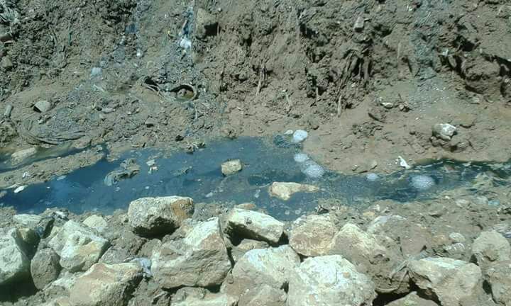 Imagen foto_00000011