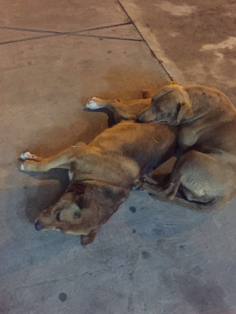 Imagen foto_00000008