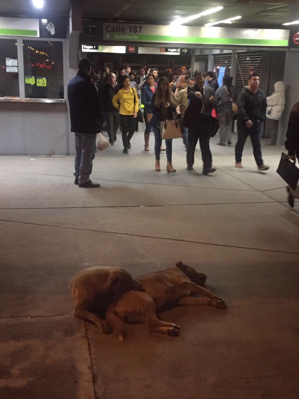 Imagen foto_00000009