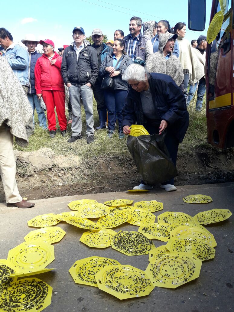 Imagen foto_00000012