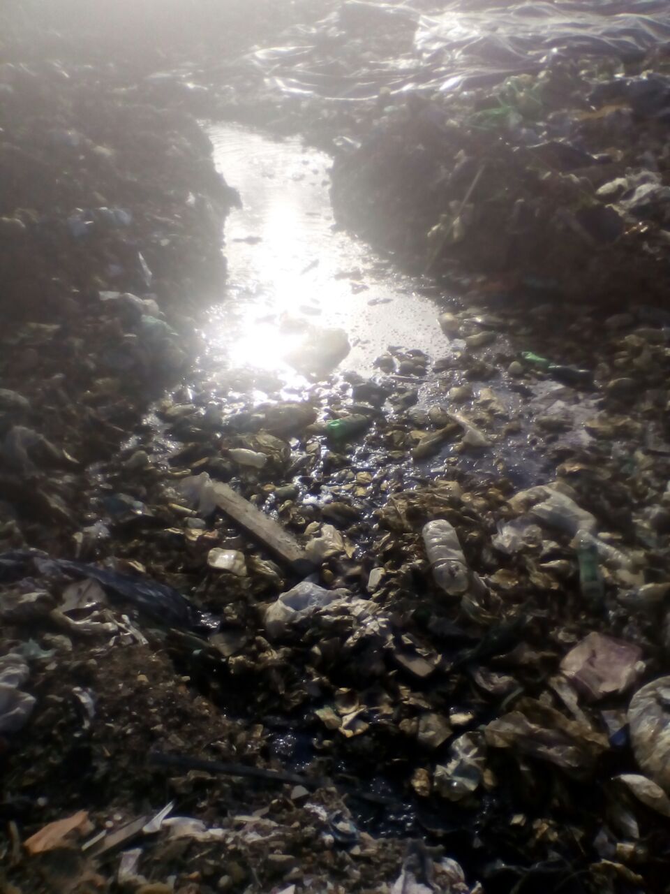 Imagen foto_00000017