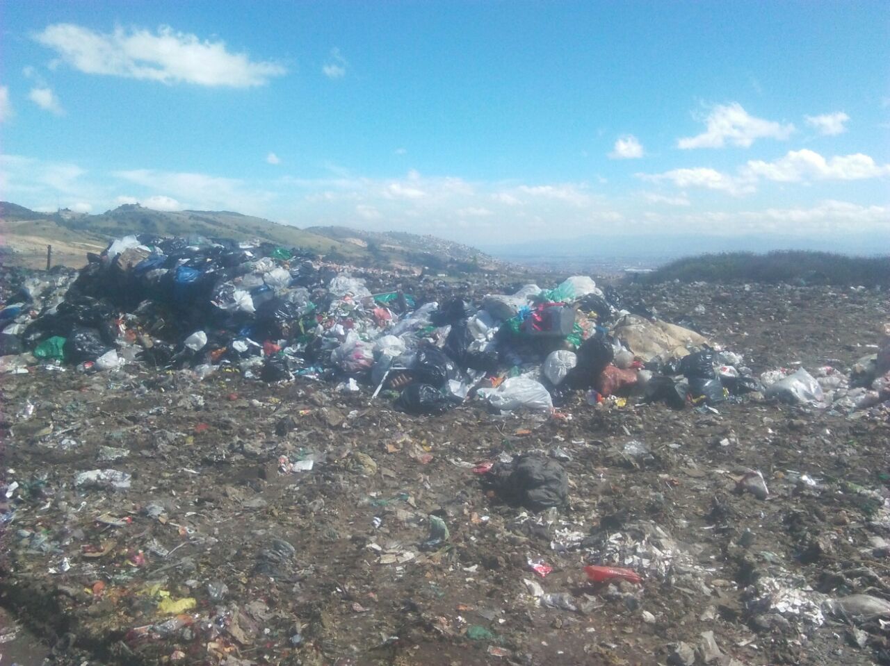 Imagen foto_00000020