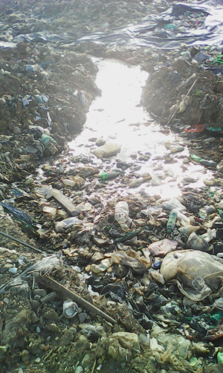 Imagen foto_00000015