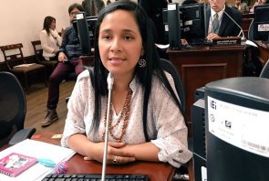 El Distrito no está cumpliendo con la función de vigilancia y control