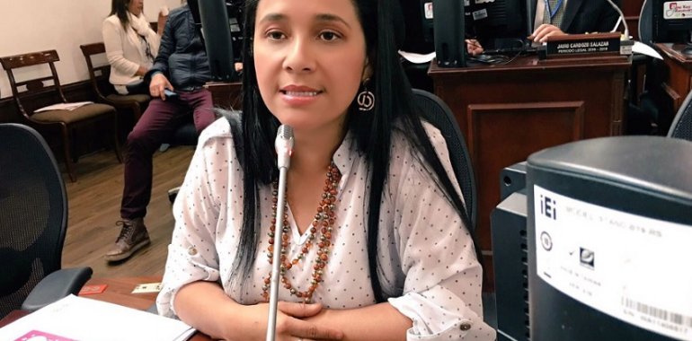 <p>Plenaria del Concejo negó la posibilidad de aumentar recursos para la Universidad Distrital</p>