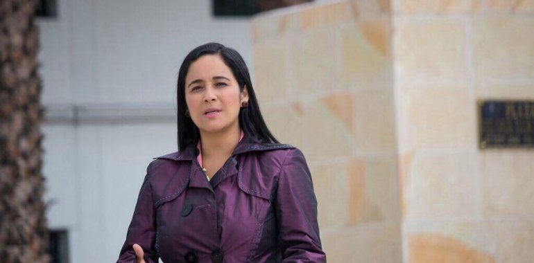 <p>Concejala Xinia Navarro afirma que no se dejará presionar frente al tema Metro</p>