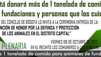 El Concejo de Bogotá donará más de 1 tonelada de comida para animales de fundaciones y personas que los cuidan