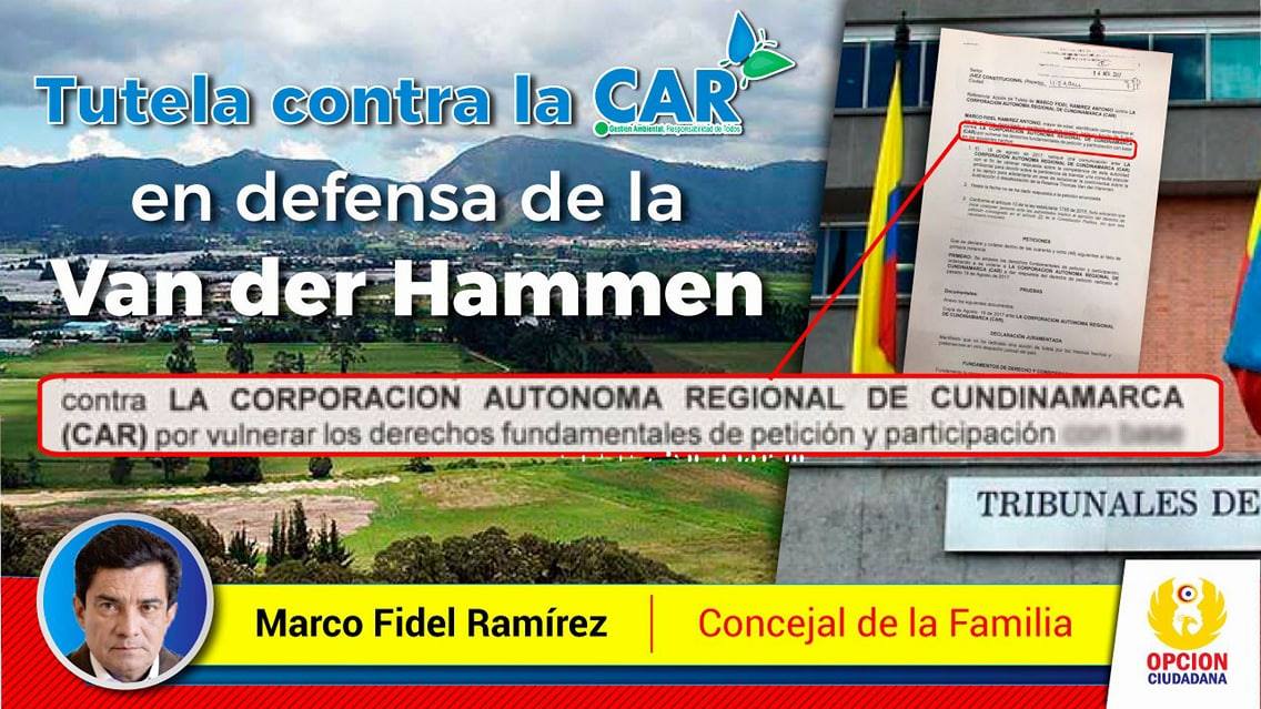 Imagen foto_00000011