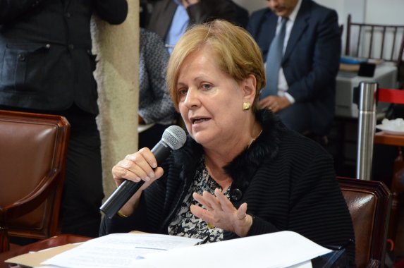 <p>Concejal María Victoria Vargas presenta hoy una  nueva propuesta para cobro por contribución al parqueo</p>