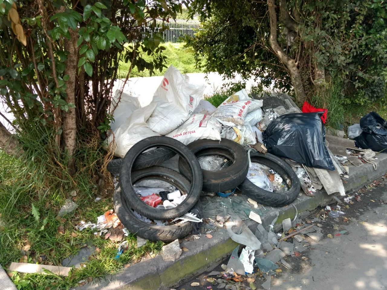 Imagen foto_00000005