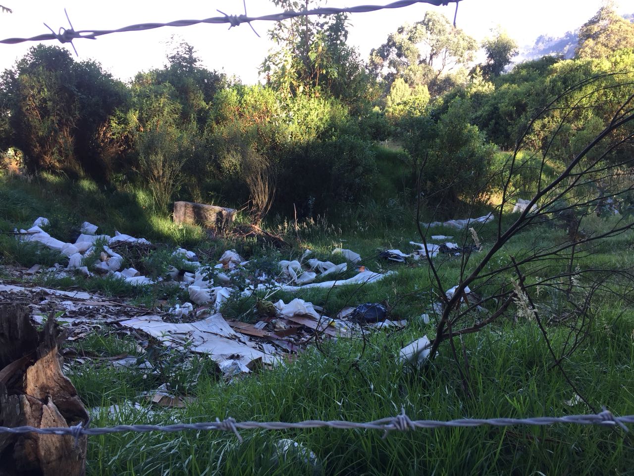 Imagen foto_00000001