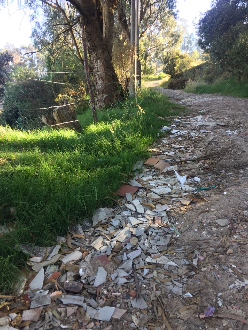 Imagen foto_00000002