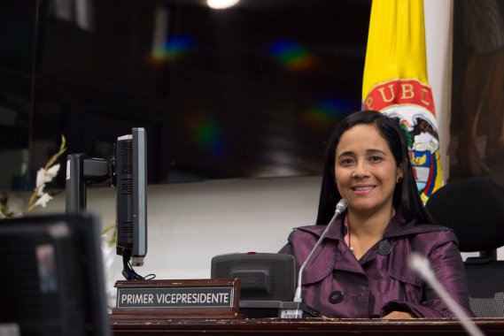 <p>El nuevo Bronx, otra improvisación de la administración Peñalosa</p>