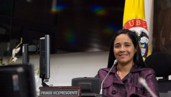 El nuevo Bronx, otra improvisación de la administración Peñalosa