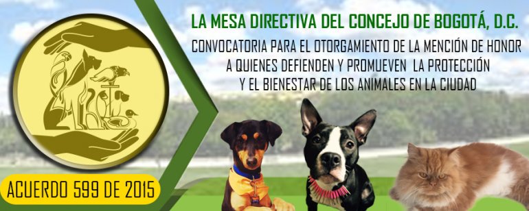 Imagen informativa de la convocatoria DEFENSA Y PROTECCIÓN ANIMAL