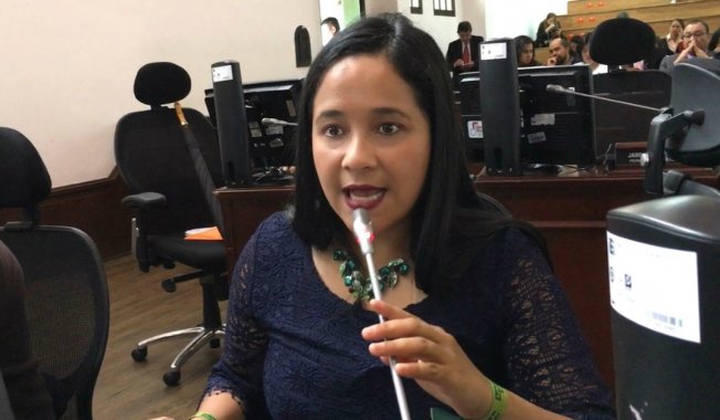 <p>A los concejales, a la oposición y a las mujeres no se nos maltrata: Xinia Navarro</p>