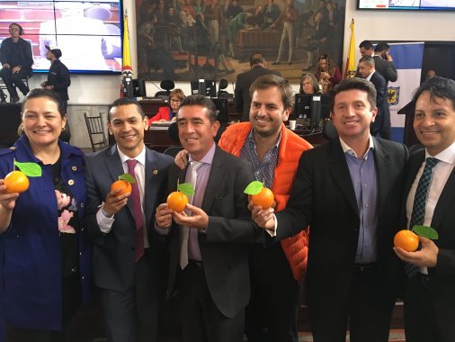 <p>Bogotá potencializa la Economía Naranja y da herramientas a la cultura, el arte y la creatividad </p>