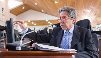 Bogotá con Instituto de protección animal, sin protección animal.