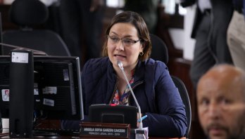 De los 51.781 vendedores informales registrados en Bogotá, solo el 8.9% han sido reubicados. La Oferta institucional del Distrito no está siendo efectiva, Angela Garzón