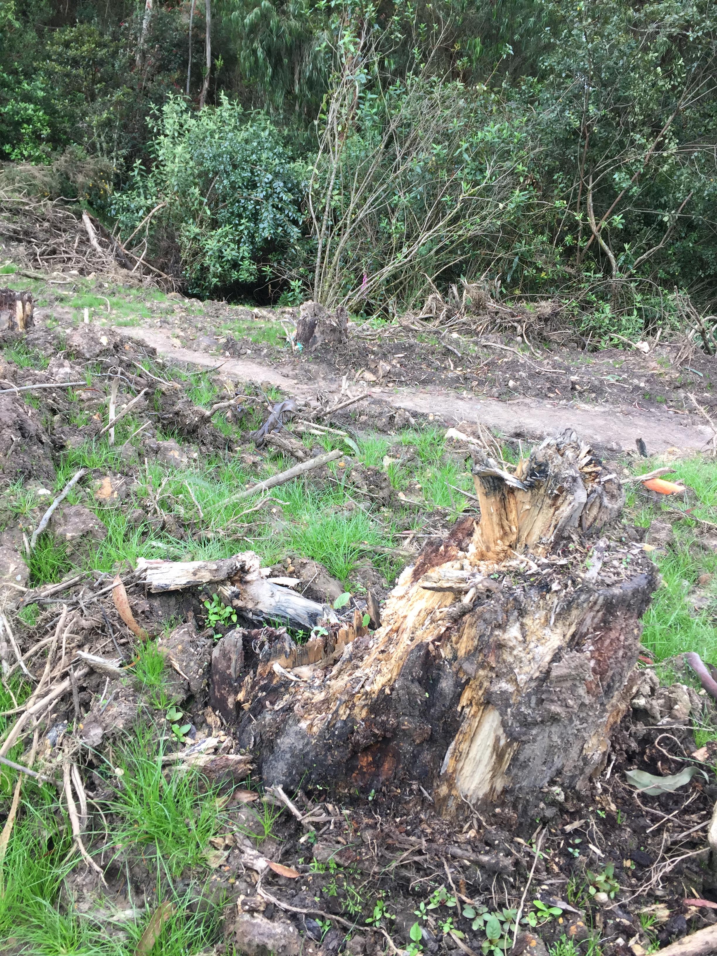 Imagen foto_00000001