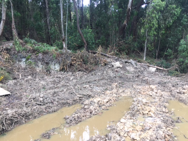 Imagen foto_00000003