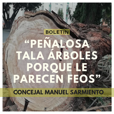 <p>''Peñalosa tala árboles porque le parecen feos''. Concejal Manuel Sarmiento</p>