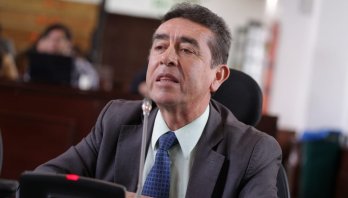 Bosque Pulmón del Predio Bavaria