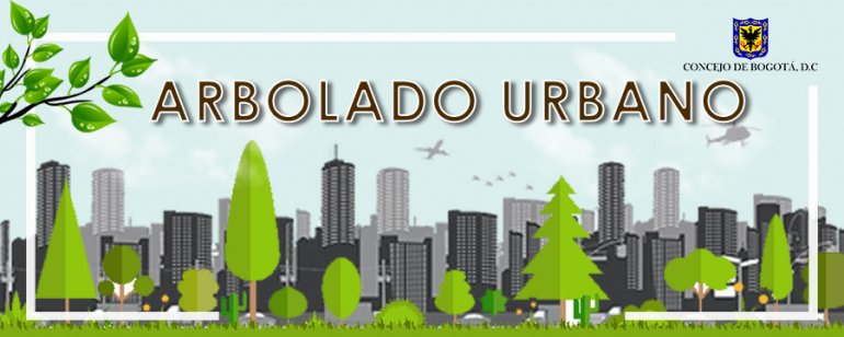 <p>Irregularidades en tala de árboles en Bogotá, denuncia el  Concejo Distrital.</p>