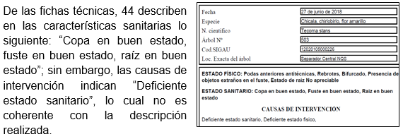 Imagen foto_00000001