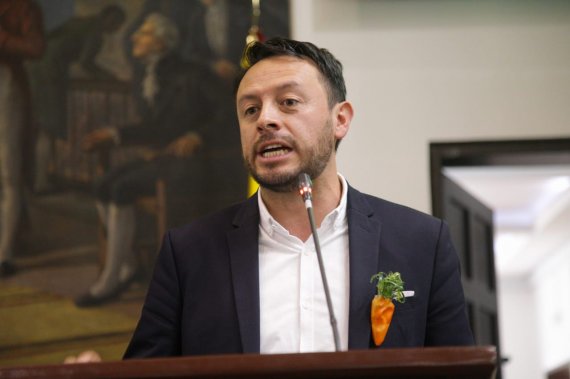 <p>Ligerezas técnicas ponen en jaque el arbolado de la ciudad. Tala: ¿la única solución?</p>