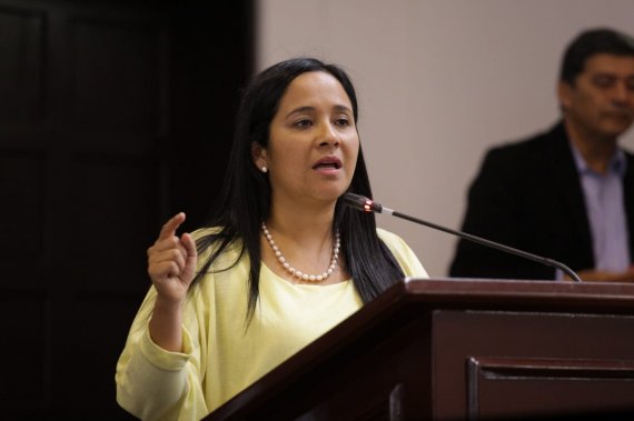 <p>Xinia a su barrio, programa de la concejal del Polo Democrático que este domingo visitará la localidad de Kennedy</p>