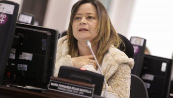 Peñalosa ha autorizado más de 34 mil talas en Bogotá