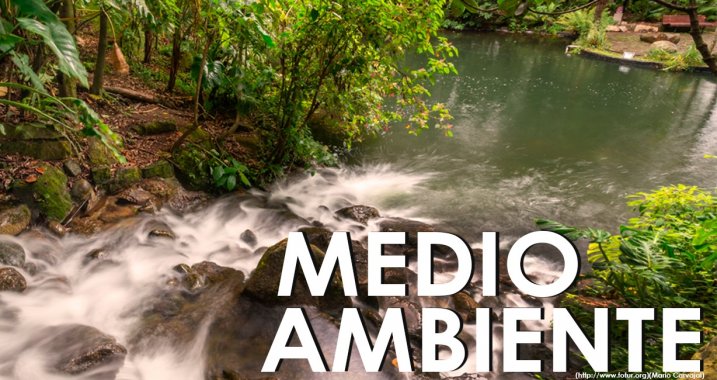 <p>¿Bogotá pulmón verde?</p>