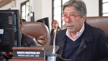 Juez acepta acción popular para prevenir tala de 462 árboles de localidad de Teusaquillo