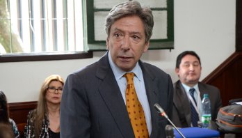 Administración cede ante Acción Popular y no talará 462 árboles en localidad de Teusaquillo