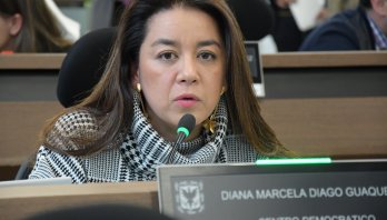 Concejal Diana Diago le pide a la Alcaldesa Claudia López evaluar la continuidad del Secretario de Gobierno de Bogotá
