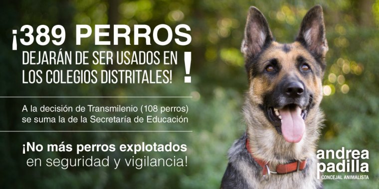 <p>La Secretaría de Educación se suma a la propuesta de desmontar progresivamente el uso de perros en las actividades de seguridad y vigilancia</p>