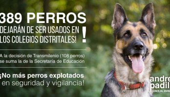 La Secretaría de Educación se suma a la propuesta de desmontar progresivamente el uso de perros en las actividades de seguridad y vigilancia