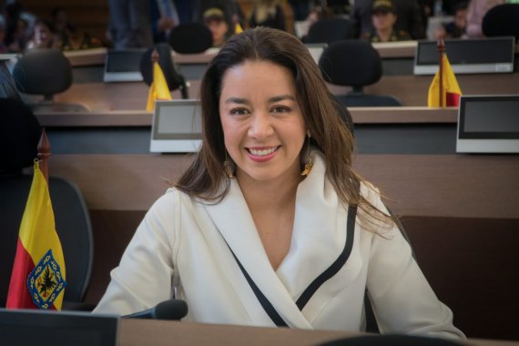 <p>Concejal Diana Diago radicó un Proyecto de Acuerdo para establecer como obligatoria la presentación de la declaración de renta para concejales y funcionarios del Distrito de Bogotá</p>