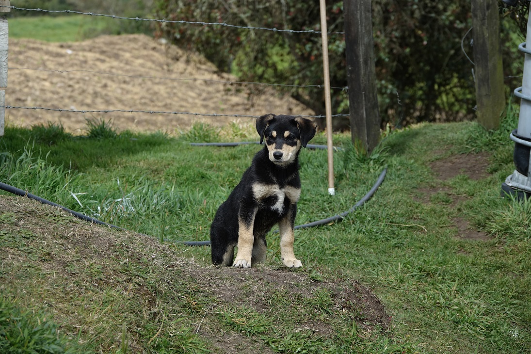 Imagen foto_00000001