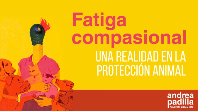 <p>La “fatiga compasional” de quienes trabajan por los animales debe ser atendida por la oferta distrital de salud</p>