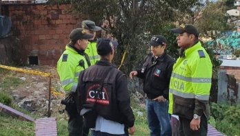 “Rechazamos todo acto de violencia contra los animales en Bogotá”, concejal animalista Andrea Padilla Villarraga