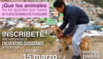 ¡Que los animales no se queden por fuera del Plan de Desarrollo de tu localidad!