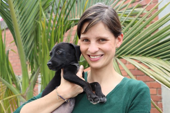 <p>Por primera vez en Bogotá los animales tendrán una línea de inversión en las Alcaldías Locales</p>